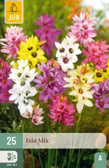 852246/8503 Ixien (Duhovnice) směs 25ks