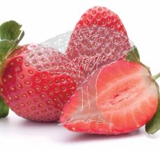 Jahodník Aromas (plato 10ks)