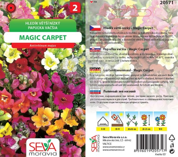 20571 Hledík Magic Carpet 0,2g / 4109