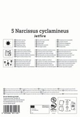 2450012/7704 Narcisy Jetfire 5ks