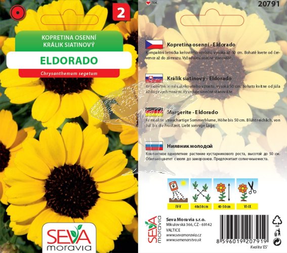 20791 Kopretina Eldorado/žlutá 0,4g / 4204