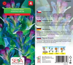 21631 Voskovka větší fialová 10s / 4402