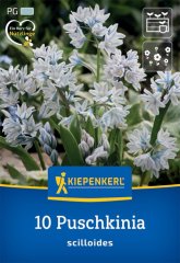 2775024/8201 Puškinie ladoňkovitá 10ks