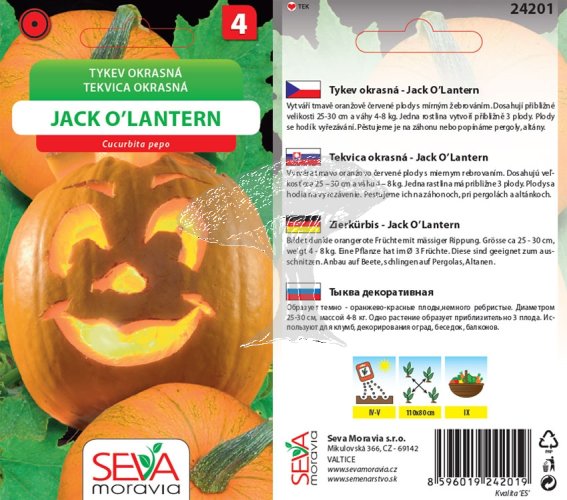 24201 Okrasné tykv. Jack O'Lantern 10s /D100