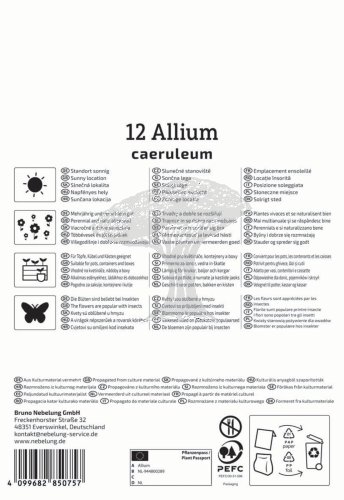 2700002/7201 Okrasný česnek směs 12ks