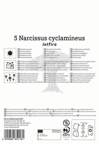 2450012/7704 Narcisy Jetfire 5ks