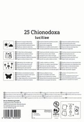 2775009/7403 Ladonička bělomodrá 25ks