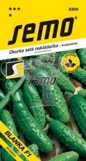 423052 Okurka Blanka F1 1,5g / 1803