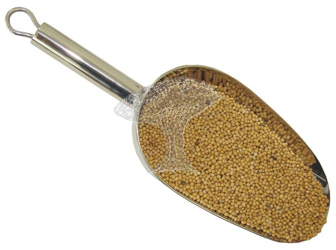 Hořčice bílá 200g (hořčičné semínko)