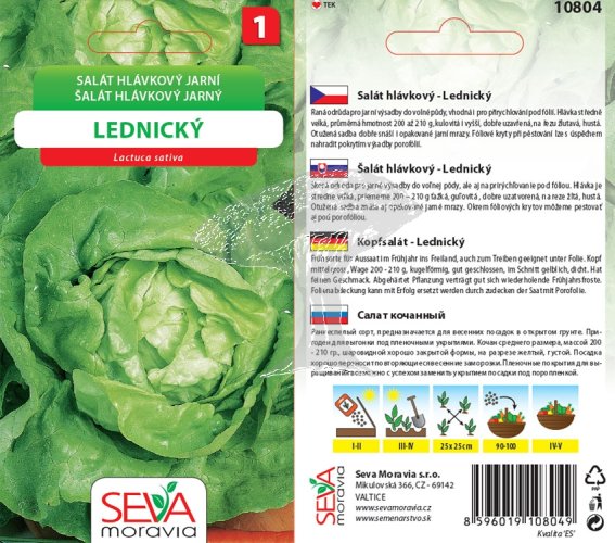 10804 Salát Lednický 0,5g / 3102