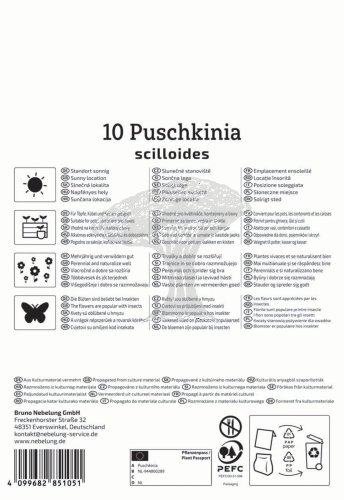 2775024/8201 Puškinie ladoňkovitá 10ks