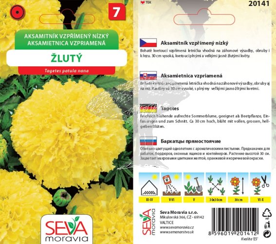 20141 Aksamitník vzpřímený nízký žlutá 0,6g /D