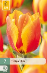 850238/8206 Tulipány Flair 7ks