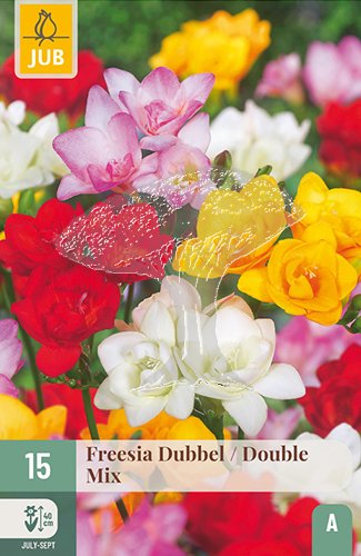 852236/7503 Frézie plnokvětá směs 15ks