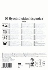 2775014/7205 Hyacint Hispanica směs 10ks