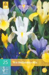 852245/8506 Kosatec holandský směs 25ks