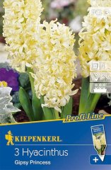 500396/7105 Hyacinty žluté 3ks