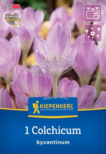 2650012/8104 Ocún byzantský 1ks