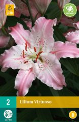 851221/8401 Lilie Virtuoso 2ks
