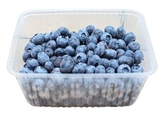 Čerstvé borůvky KANADSKÉ (zahradní) 600g