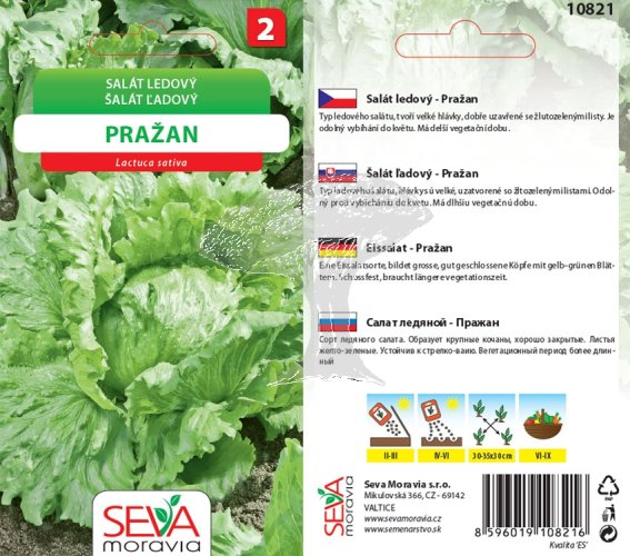 10821 Salát Pražan 0,3g / 3110