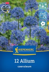 2700002/7201 Okrasný česnek směs 12ks