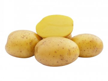 Sadbové brambory - Skladem