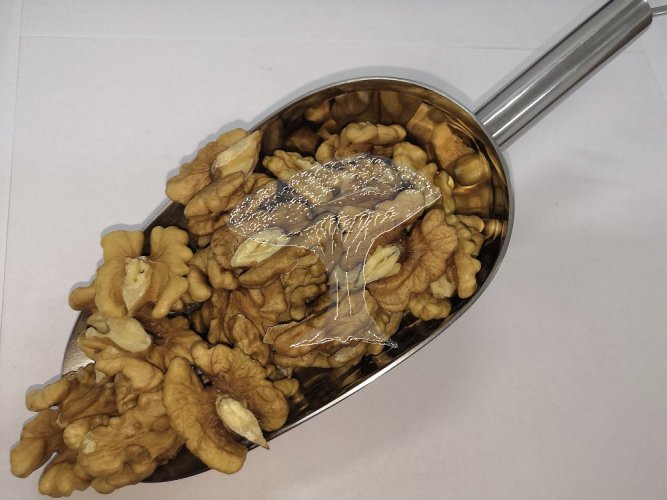 Loupané vlašské ořechy - půlky jader 0,5kg
