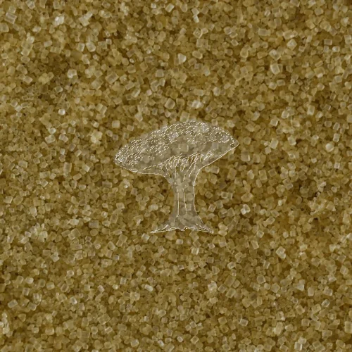 Třtinový cukr 500g