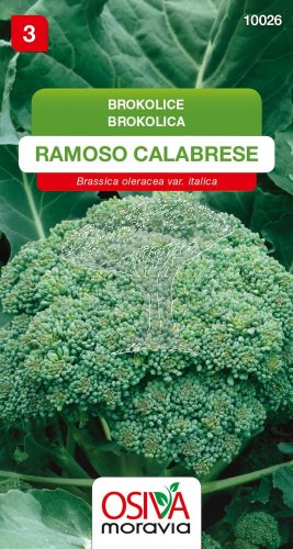 10026/1104 Brokolice Ramoso Calabrese 430 0,6g