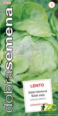 37402 Salát celoroční Lento 0,5g / 3108