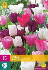 850683/8506 Směs tulipánů Sorbet směs 12ks