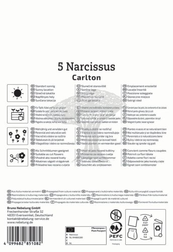 2450000/7604 Narcisy Carlton 5ks