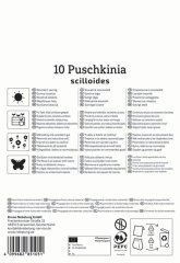 2775024/8201 Puškinie ladoňkovitá 10ks