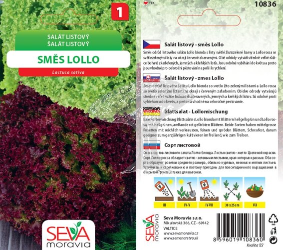10836 Salát Lollo směs 0,5g / 3201