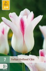 852639/8307 Tulipány Holland Chic 7ks