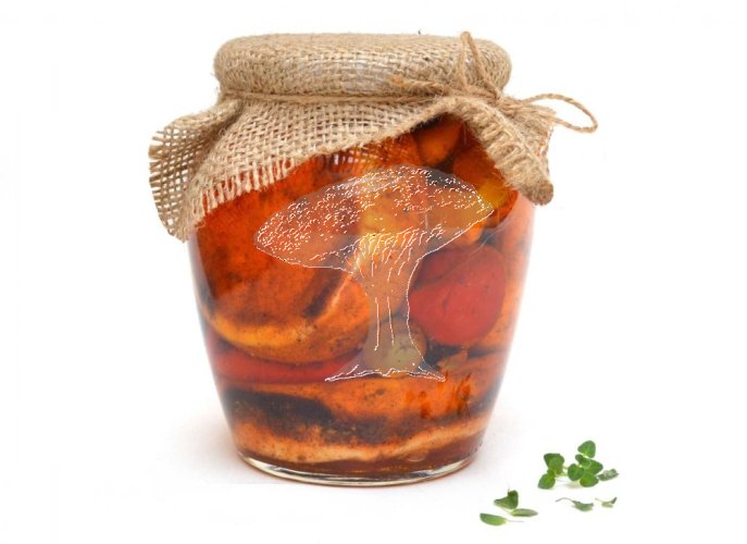 Hermelín Ďábelský 2 kusy 520g