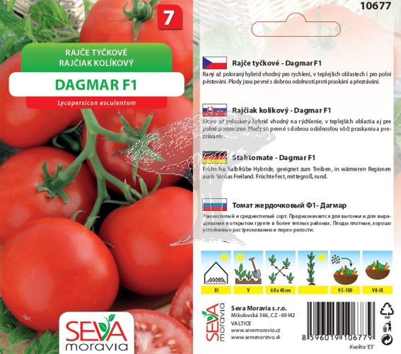 10677 Rajče F1 Dagmar 0,15g / 2604