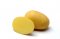 Konzumní brambory žluté (pytel 25kg)