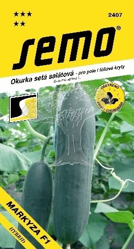 424072 Okurka Markýza F1 1,5g / 1909