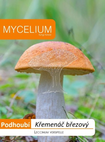 Křemenáč březový 10g - podhoubí