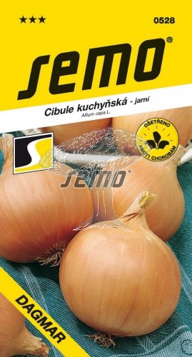 405282 Cibule jarní Dagmar žlutá 2,5g / 1204