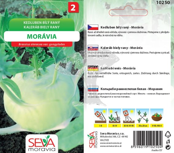 10250 Kedluben Morávia 0,8g / 1303