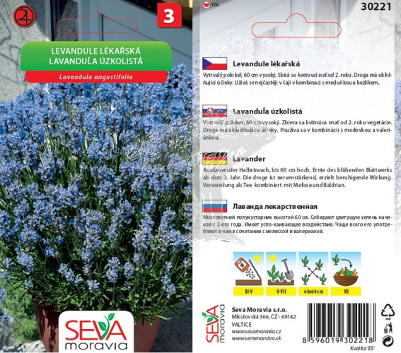 30221 Levandule lékařská 0,2g / 3602