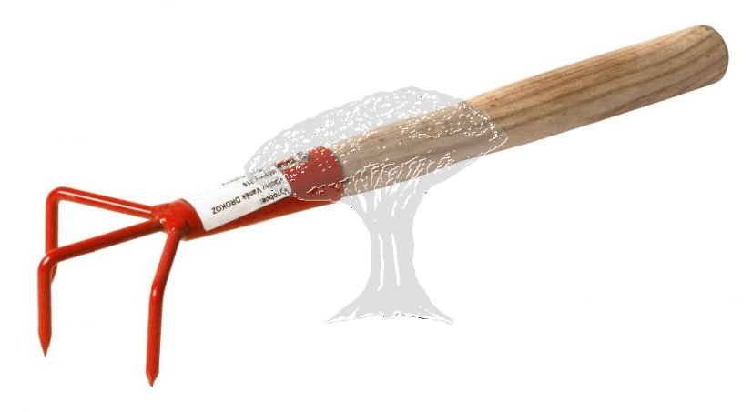 Drápek tříhrotý 700171