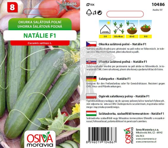 10486 Okurky F1 Natalie 1g / 1905