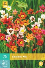 852267/8408 Dřípulka (Sparaxis) směs 25ks