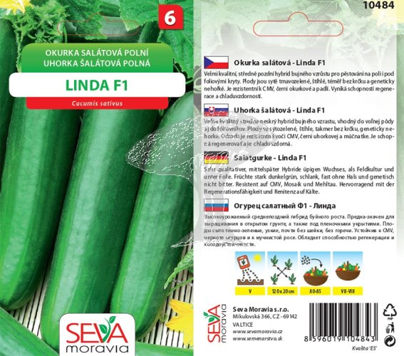 10484 Okurka F1 Linda 1g / 1904