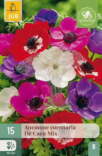 852202/8405 Sasanky jednoduché směs 15ks