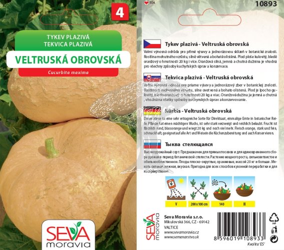 10893 Tykev Veltruská obrovská 10s / 3303